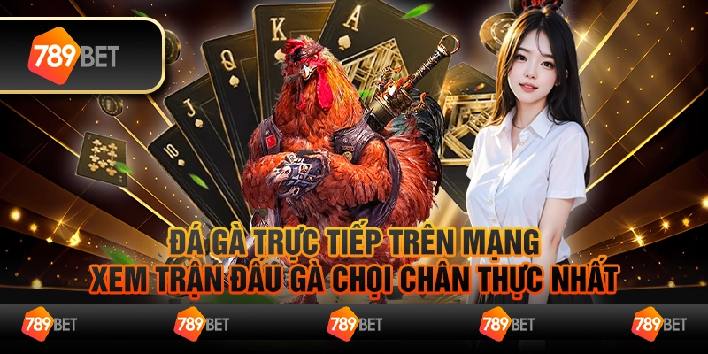 Đá gà trực tiếp trên mạng – Xem trận đấu gà chọi chân thực nhất